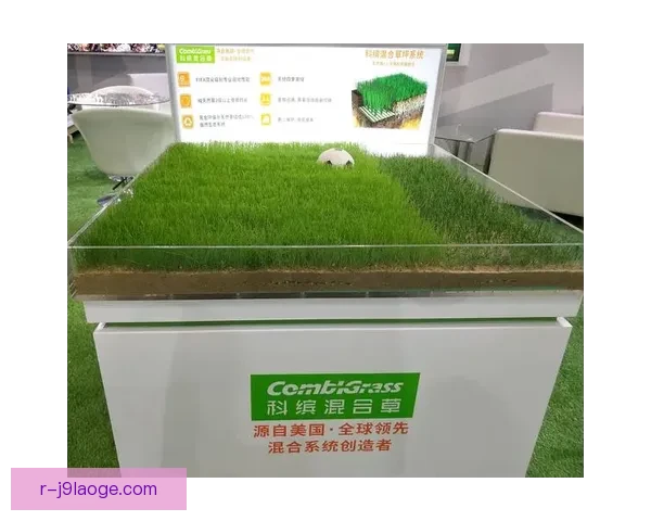 世界杯推出创新草坪自热排水系统提升比赛场地表现